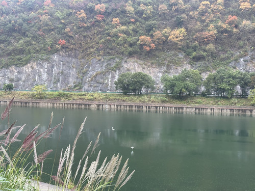 3BC59B1C 27C1 420C BE96 EE2D73AB6AB0.jpg