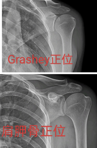 IMG 20251109 075138.jpg