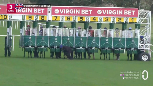 p4vCW1OR4c eQMLb.jpg