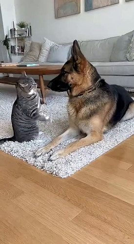 K3d7Dg50v 0anFdh.jpg