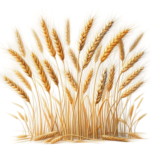 aigenbycaz downonthefarmelement (66).png