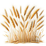 aigenbycaz downonthefarmelement (66)