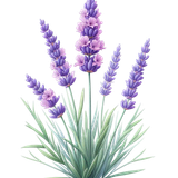 aigenbycaz downonthefarmelement (9)