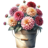 aigenbycaz downonthefarmelement (13)