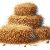 aigenbycaz downonthefarmelement (43)