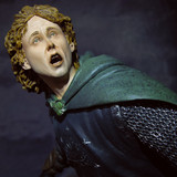 004 Pippin.Guard of the Citadel.Repainted Face