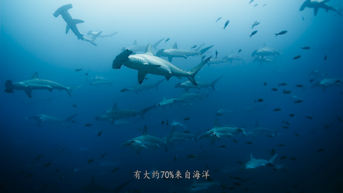 A.Perfect.Planet 15.png