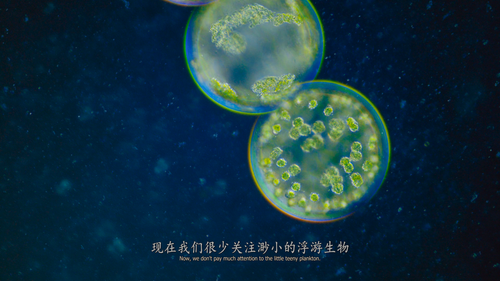 A.Perfect.Planet 16.png