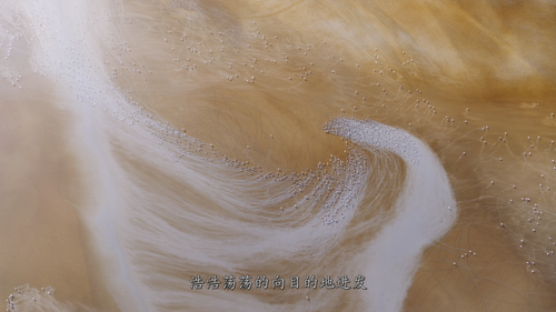 A.Perfect.Planet 14.png