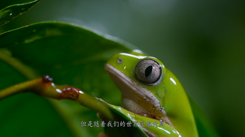 A.Perfect.Planet 09.png