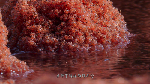 A.Perfect.Planet 04.png