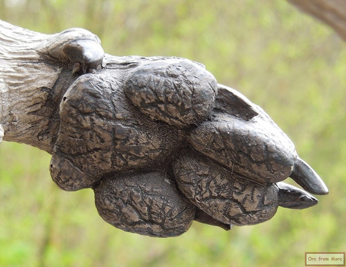 004 Azog on Warg.jpg