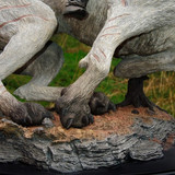 012 Azog on Warg