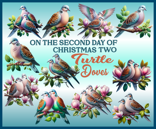TURTLE DOVES AI CREATIONS BG PREVIEW11
