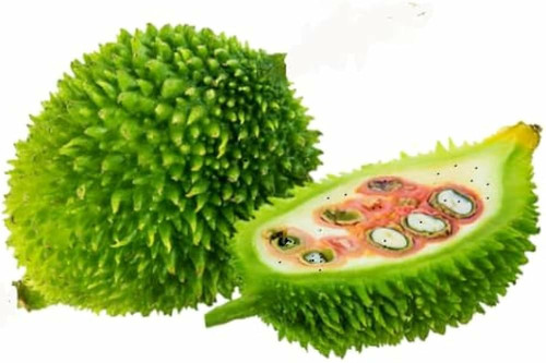 51IQr4NE0BL. SL1000 .jpg