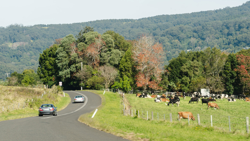 Scenic Australian Road Trip with Silver Arrow Classic Tours.png