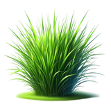 aigenbycaz violetgardenelement (41)