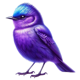 aigenbycaz violetgardenelement (5)