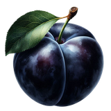 aigenbycaz autumnplaidelement (55)