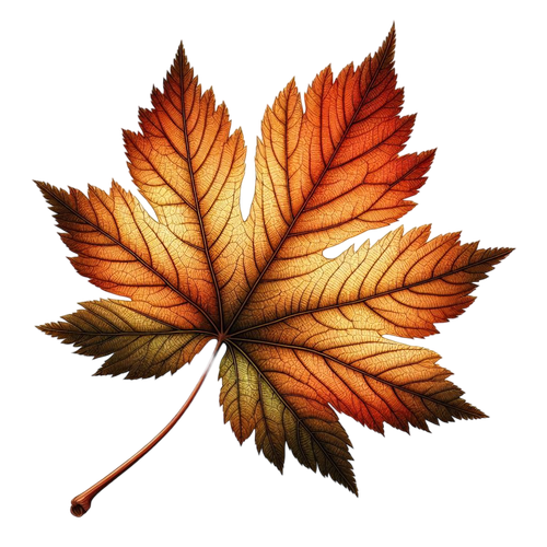 aigenbycaz autumnplaidelement (86).png