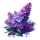 aigenbycaz violetgardenelement (37)