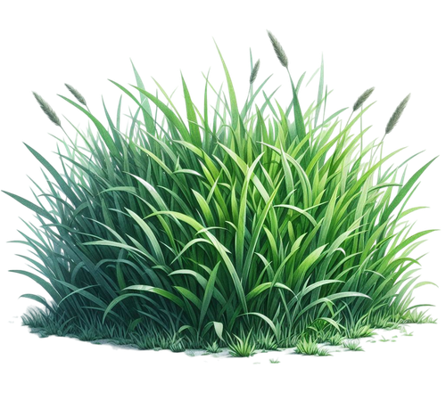 aigenbycaz autumnplaidelement (137).png