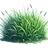 aigenbycaz autumnplaidelement (137)