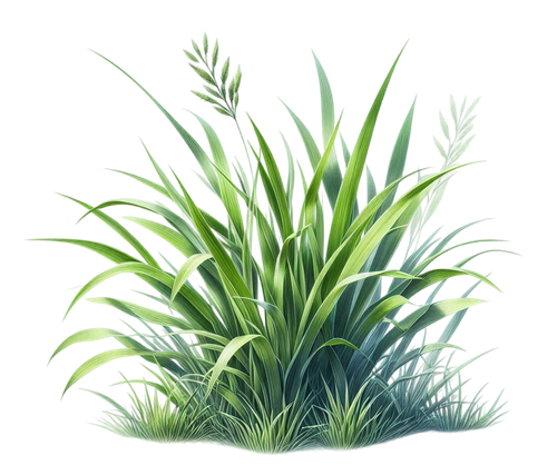 aigenbycaz autumnplaidelement (134).png