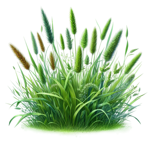 aigenbycaz autumnplaidelement (135).png