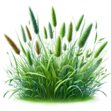 aigenbycaz autumnplaidelement (135)