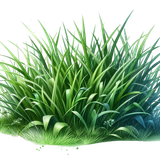 aigenbycaz autumnplaidelement (138)