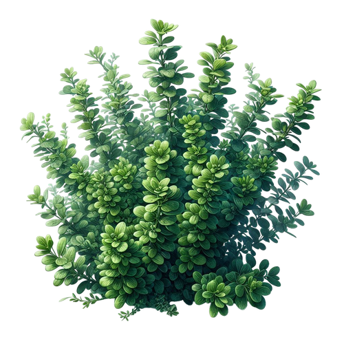 aigenbycaz autumnplaidelement (136).png