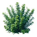 aigenbycaz autumnplaidelement (136)