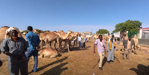 Capture d'écran 2025 09 23 212555.png