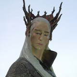 005 Thranduil