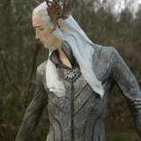 006 Thranduil