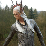 004 Thranduil