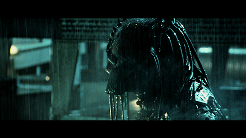 vlcsnap 2025 09 24 12h07m26s294.png