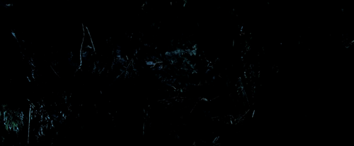 vlcsnap 2025 09 24 12h27m12s397.png