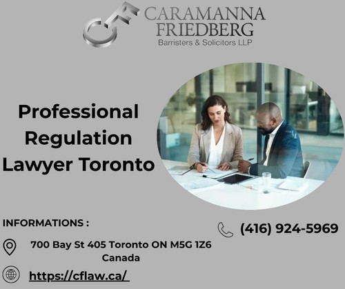 Professional Regulation Lawyer Toronto(1).jpg