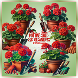 Potting Shed Red Geranium