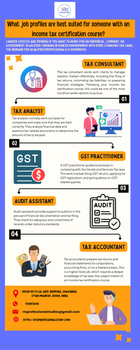 job profiles are best suited for someone with an income tax certification course.png