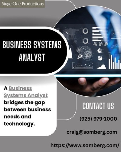 Unlock Success with a Skilled Business Systems Analyst.jpg
