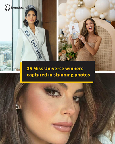 miss universe winners.jpg