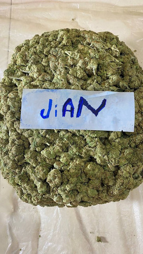 AirBrush 20240314172948.jpg