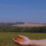 tiktok thumbnail (1)