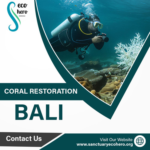 Coral Restoration bali.jpg