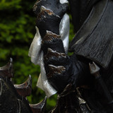 005 Mouth of Sauron on Steed