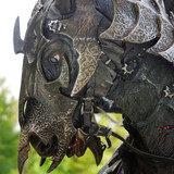 011 Mouth of Sauron on Steed