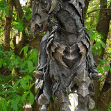 015 Mouth of Sauron on Steed
